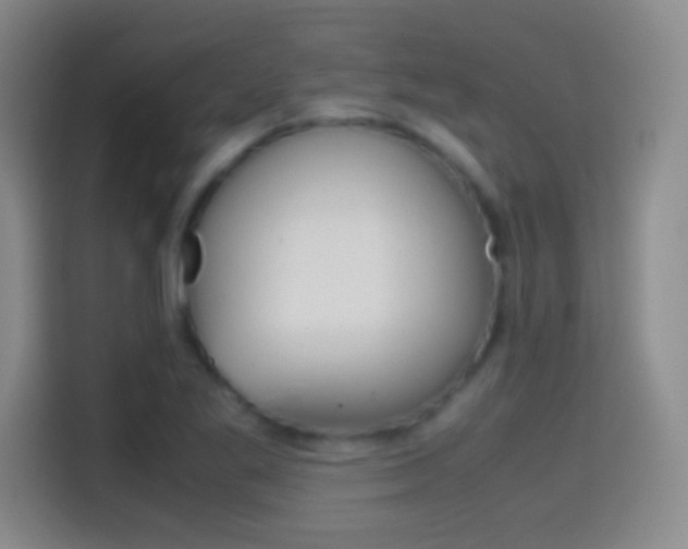 X0000114561269200910191004