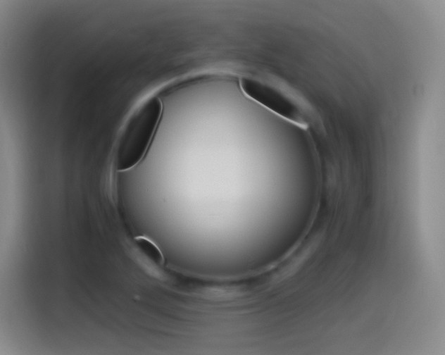 X0000114561272200910191004