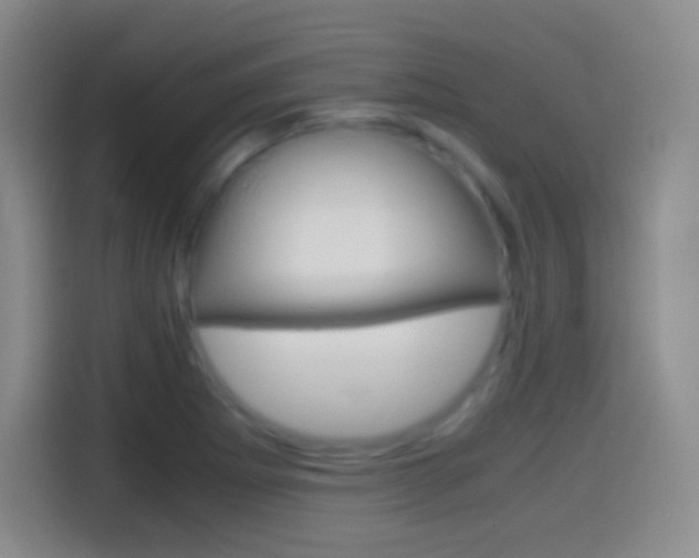 X0000114561273200910191004