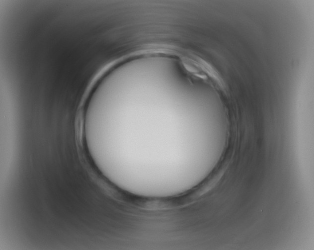 X0000114561275200910191004