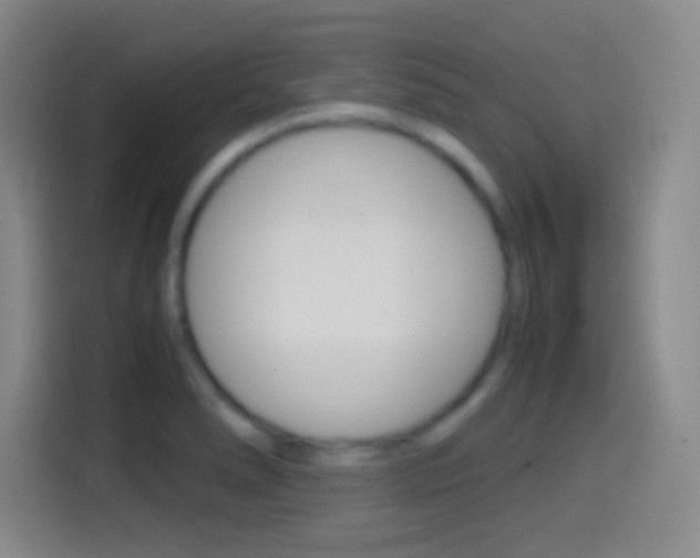 X0000114561278200910191004