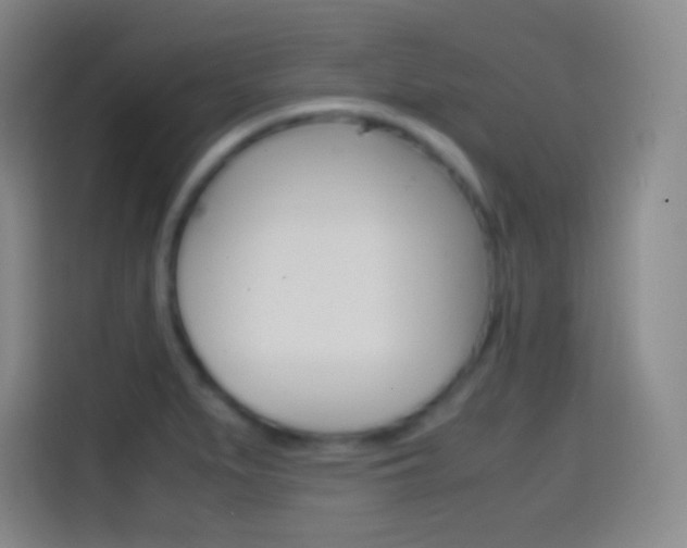 X0000114561279200910191004