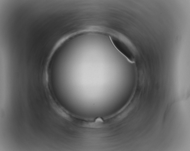 X0000114561280200910191004