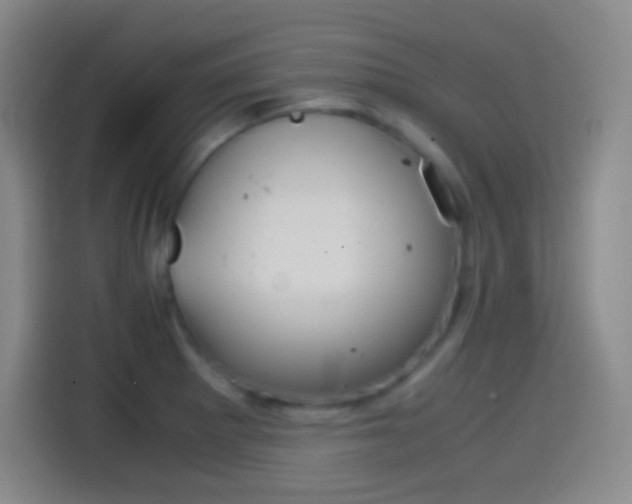 X0000114561281200910191004