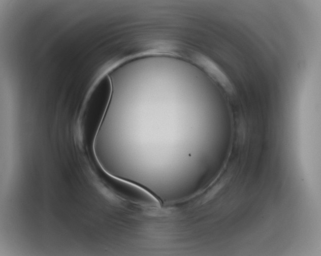 X0000114561284200910191004