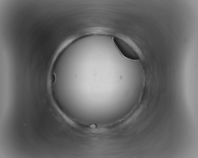 X0000114561285200910191004