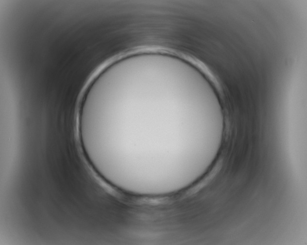 X0000114561286200910191004