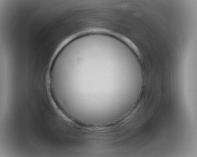 X0000114561287200910191004