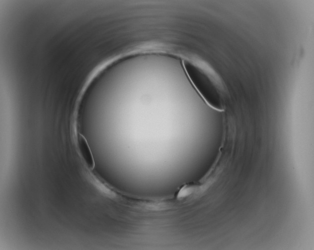 X0000114561288200910191004