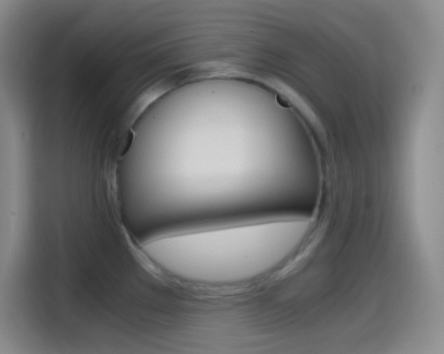 X0000114561289200910191004