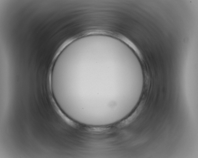 X0000114561290200910191004