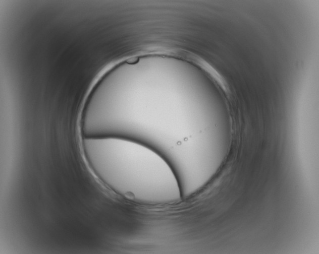 X0000114561291200910191004