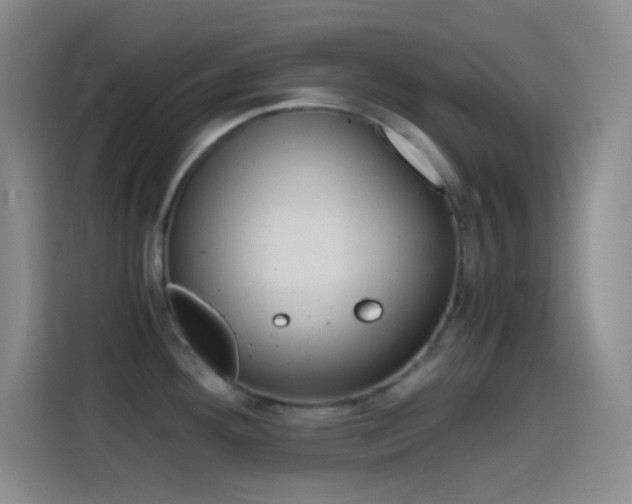 X0000114561292200910191004