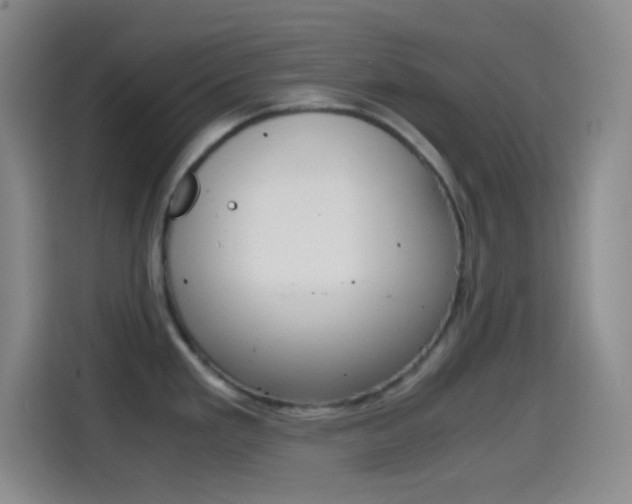X0000114561293200910191004