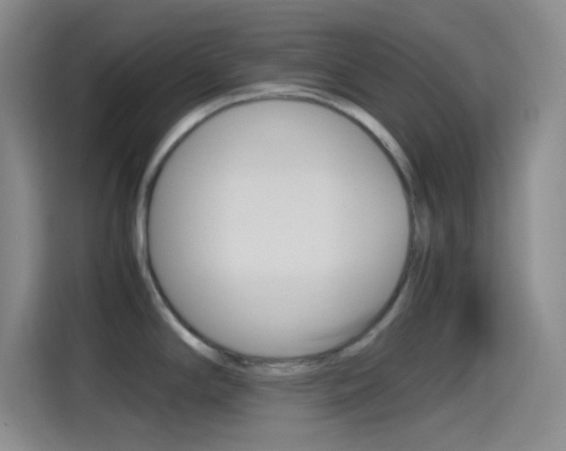 X0000114561294200910191004