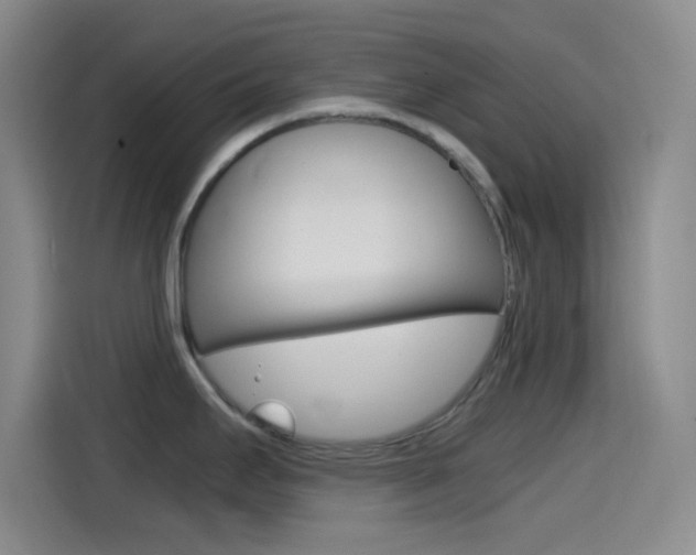 X0000114561295200910191004