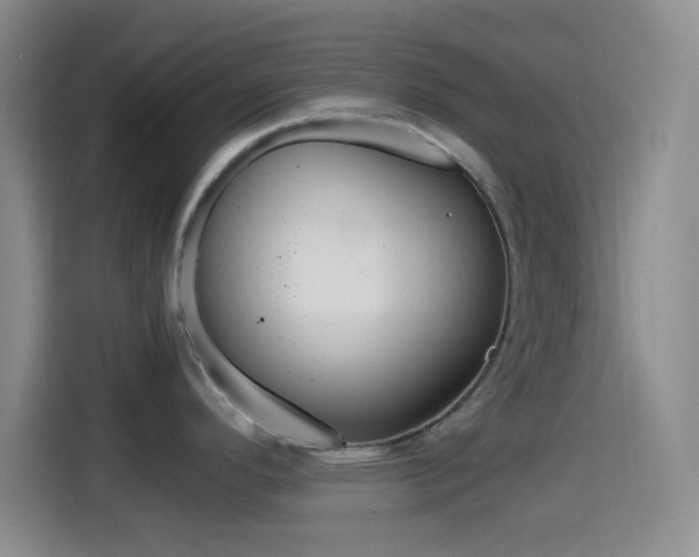 X0000114561296200910191004