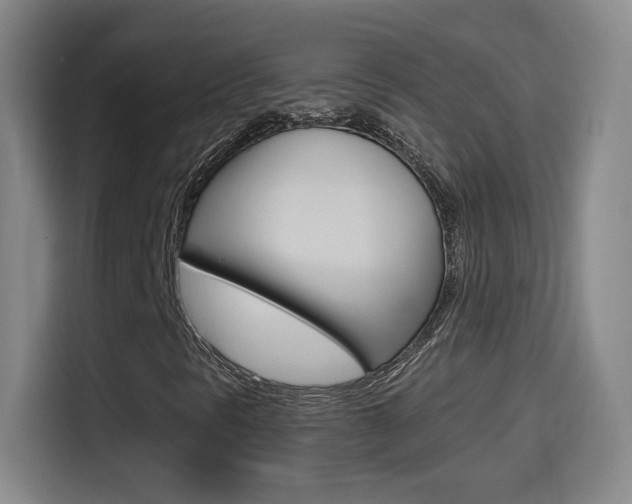 X0000114561297200910191003