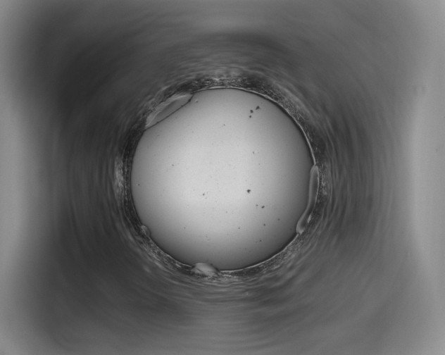 X0000114561298200910191003