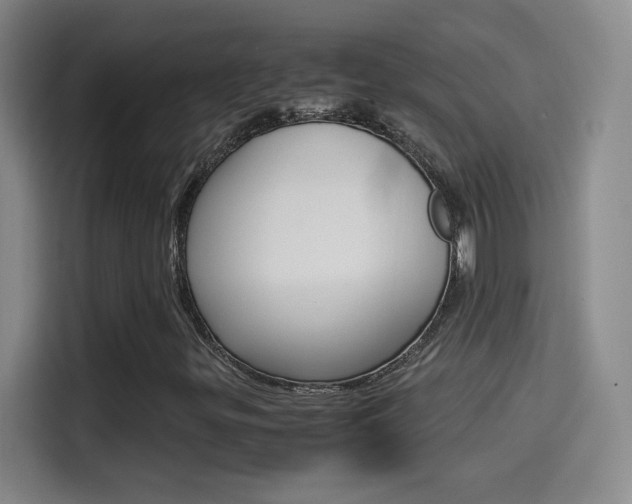 X0000114561299200910191003