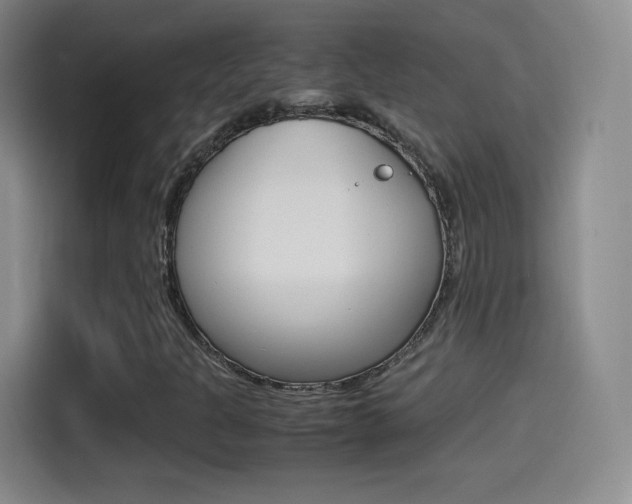 X0000114561301200910191003