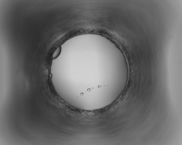 X0000114561302200910191003