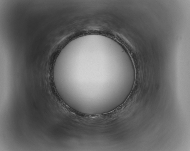 X0000114561303200910191003
