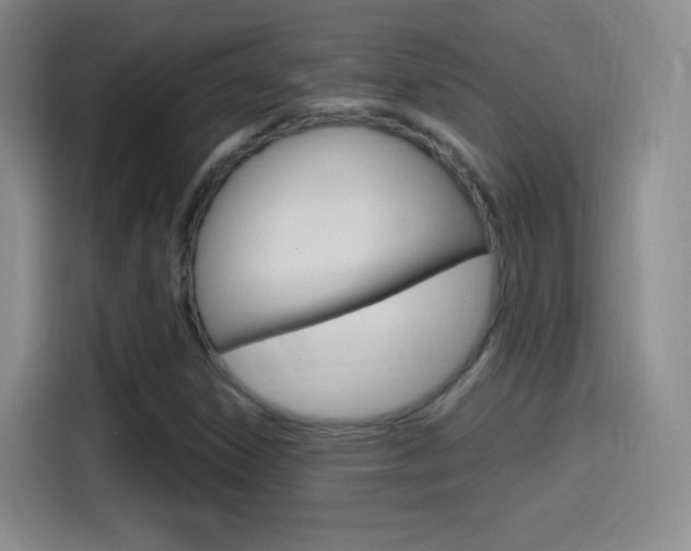 X0000114561306200910191003