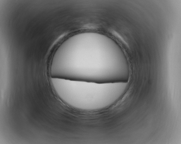 X0000114561307200910191003