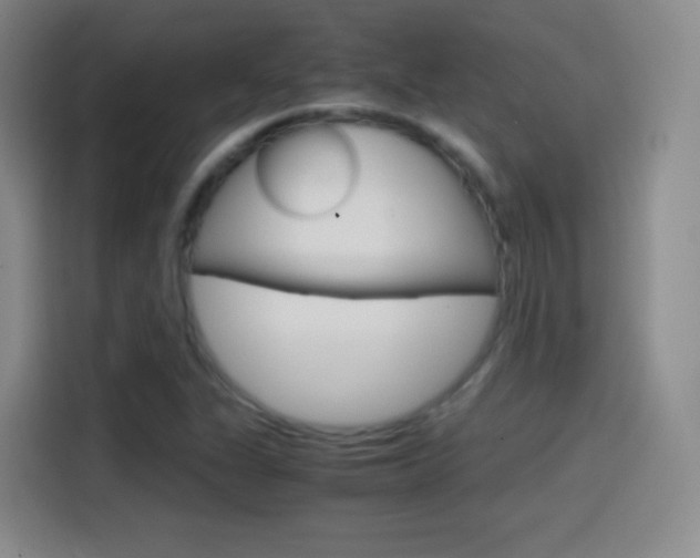 X0000114561311200910191003