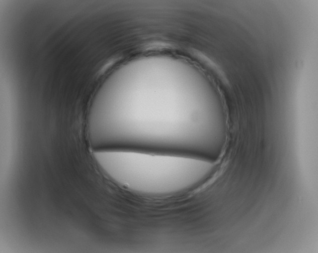 X0000114561313200910191003