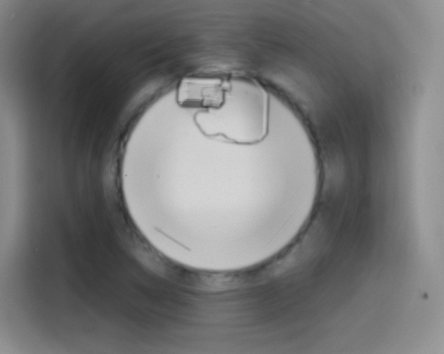 X0000114561314200910191003