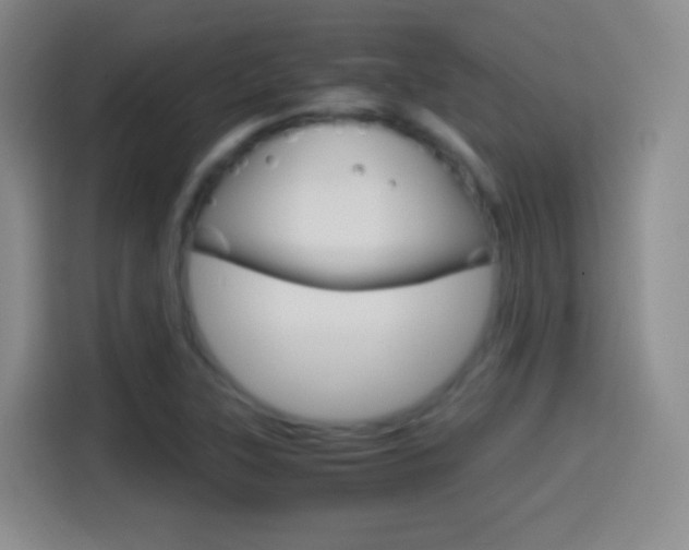 X0000114561315200910191003