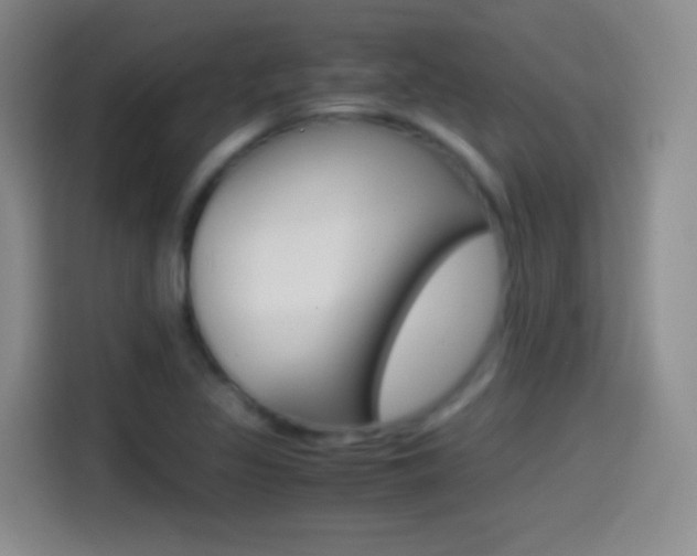 X0000114561317200910191003
