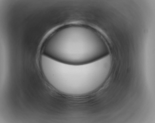 X0000114561319200910191003