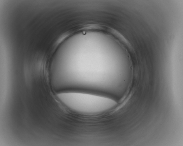 X0000114561321200910191003