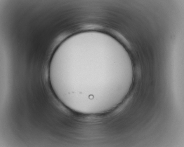 X0000114561322200910191003