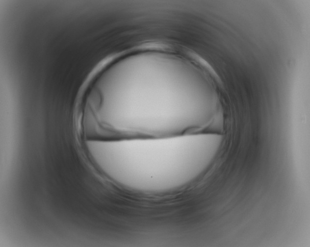 X0000114561323200910191003