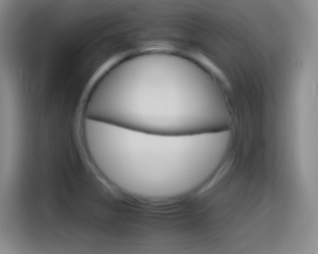 X0000114561325200910191003