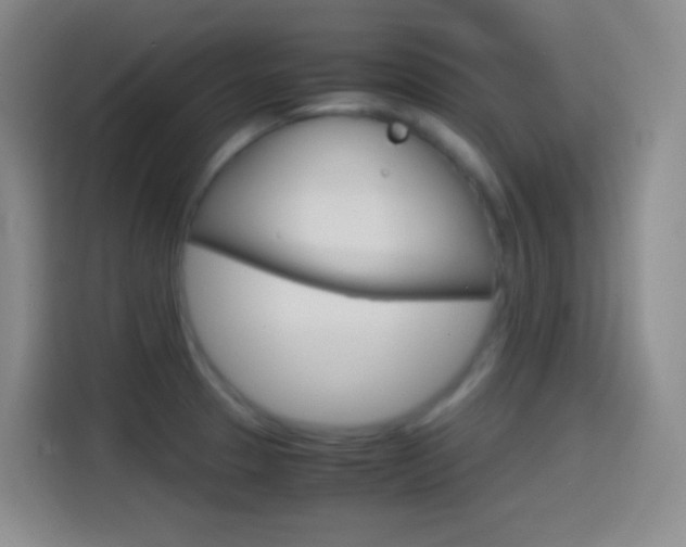 X0000114561329200910191003