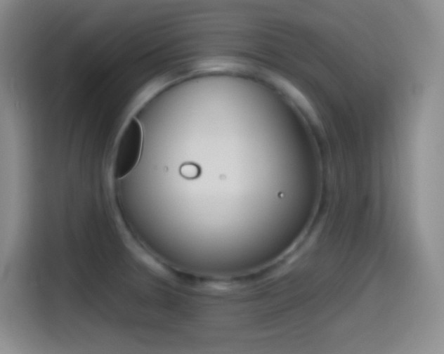 X0000114561330200910191003