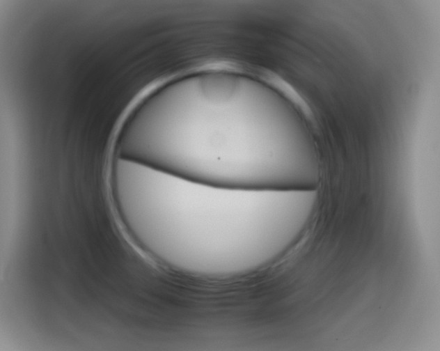 X0000114561331200910191003