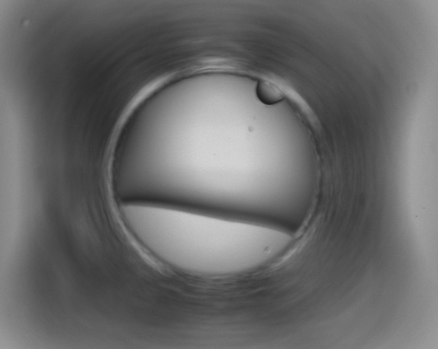 X0000114561333200910191003