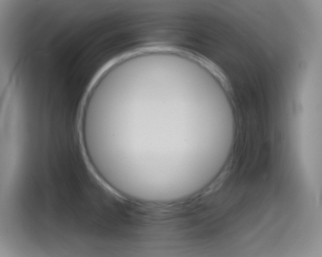 X0000114561334200910191004