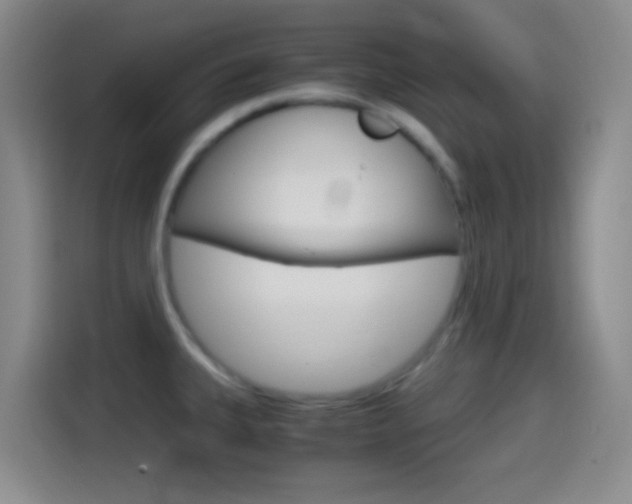 X0000114561335200910191004