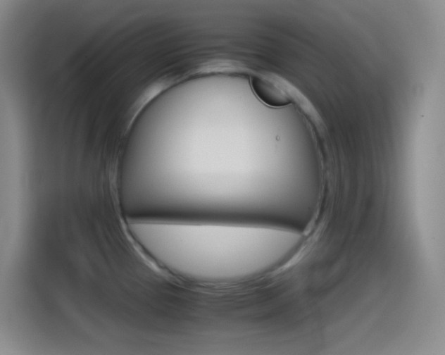 X0000114561337200910191004