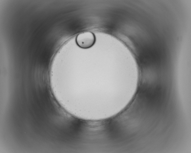 X0000114561338200910191004