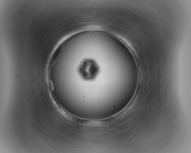 X0000114561342200910191004