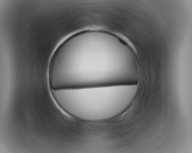 X0000114561343200910191004