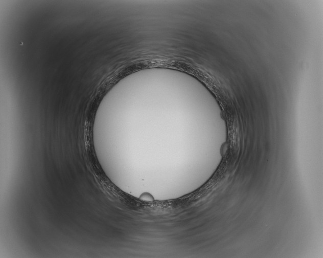 X0000114561346200910191003